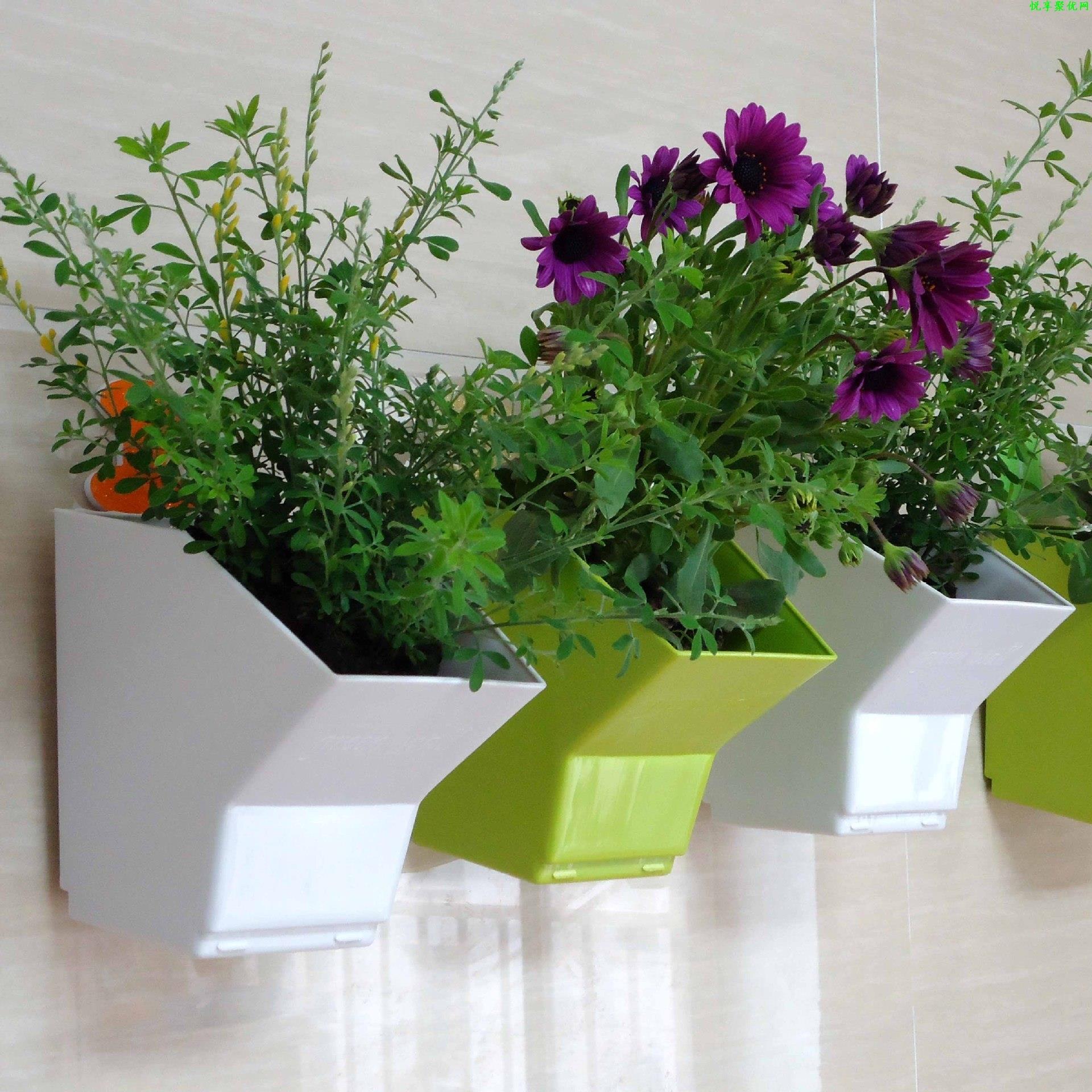 Bonsai Vertical Garden - 2-delige muurhangende plantenbak bloempot tuin bloempotten
