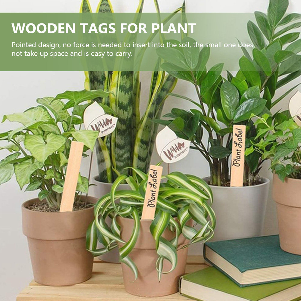 Bonsai Garden Nursery - 50 stuks plantenlabels, houten plantenlabels, compacte