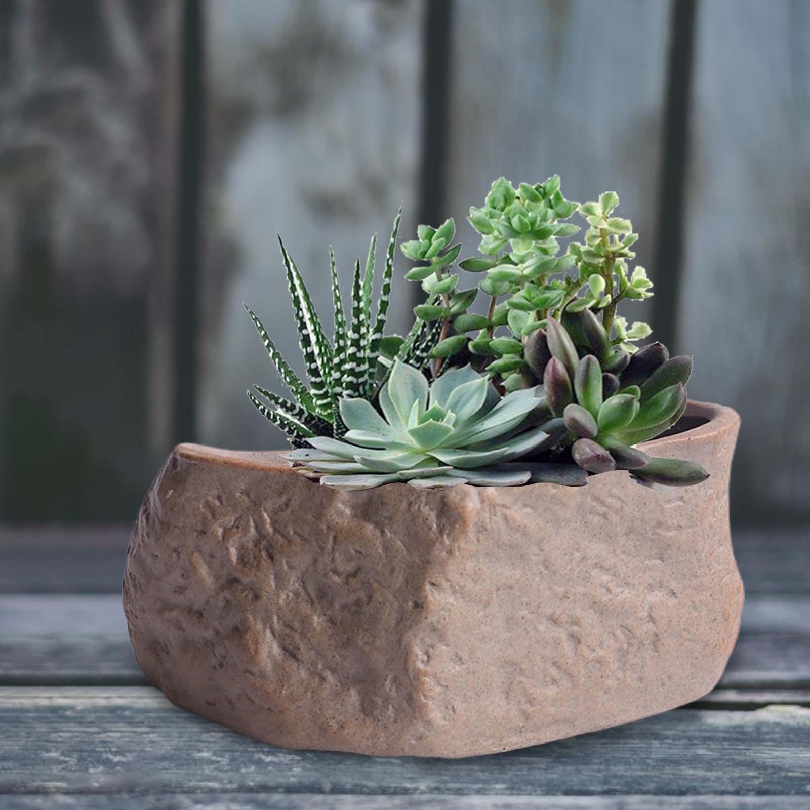 Training Pot Ceramic - Keramische succulentenpot Lichtgewicht bonsai-trainingspotten Cactus plantenbakken
