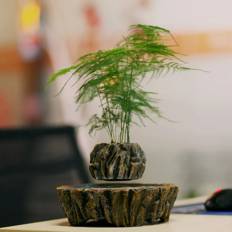 Bonsai Vertical Garden - HCNT Elektrische Magnetische Levitatie Zwevende Hars