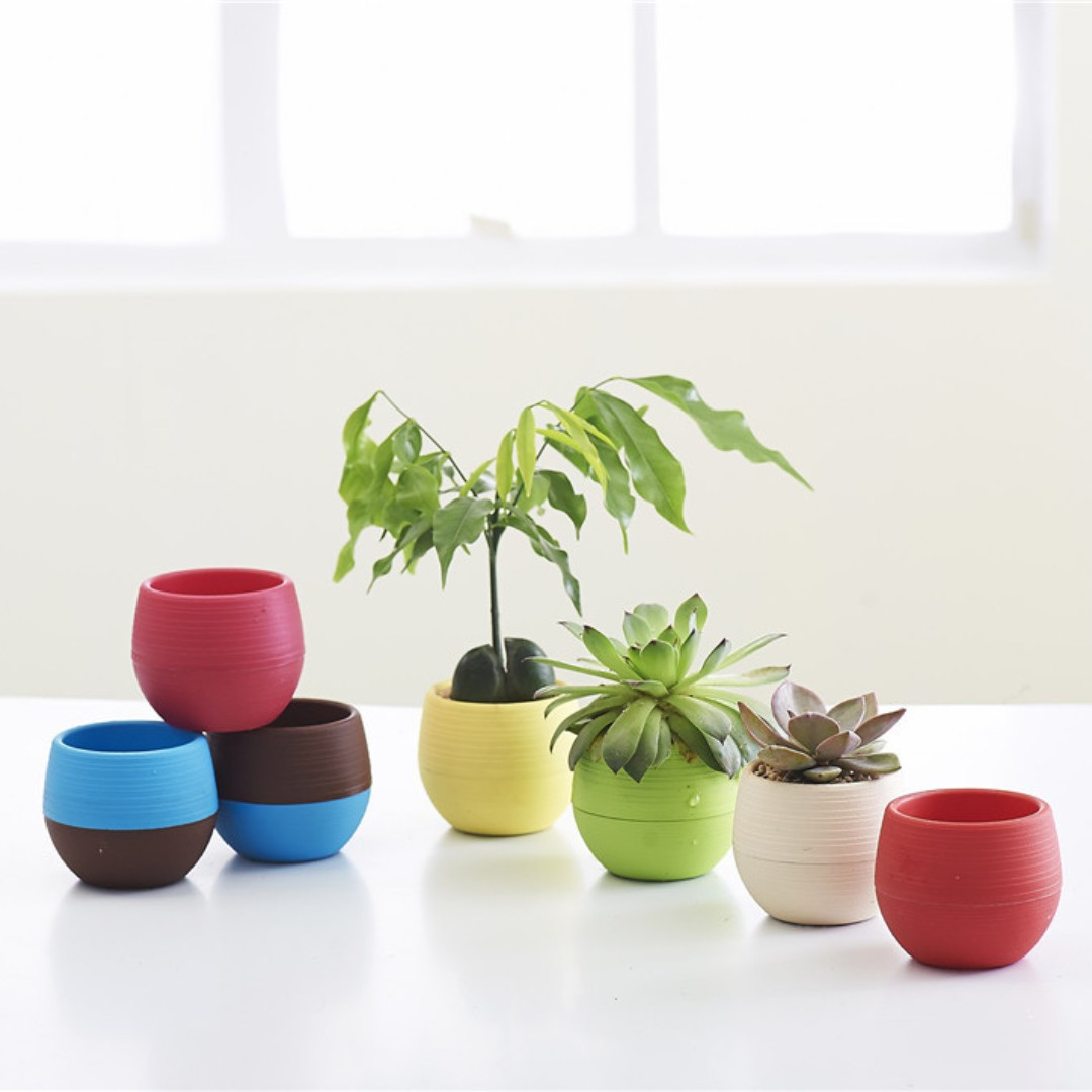 Bonsai Garden Nursery - Tuinieren Mini Plastic Bloempotten Kwekerij Potten,