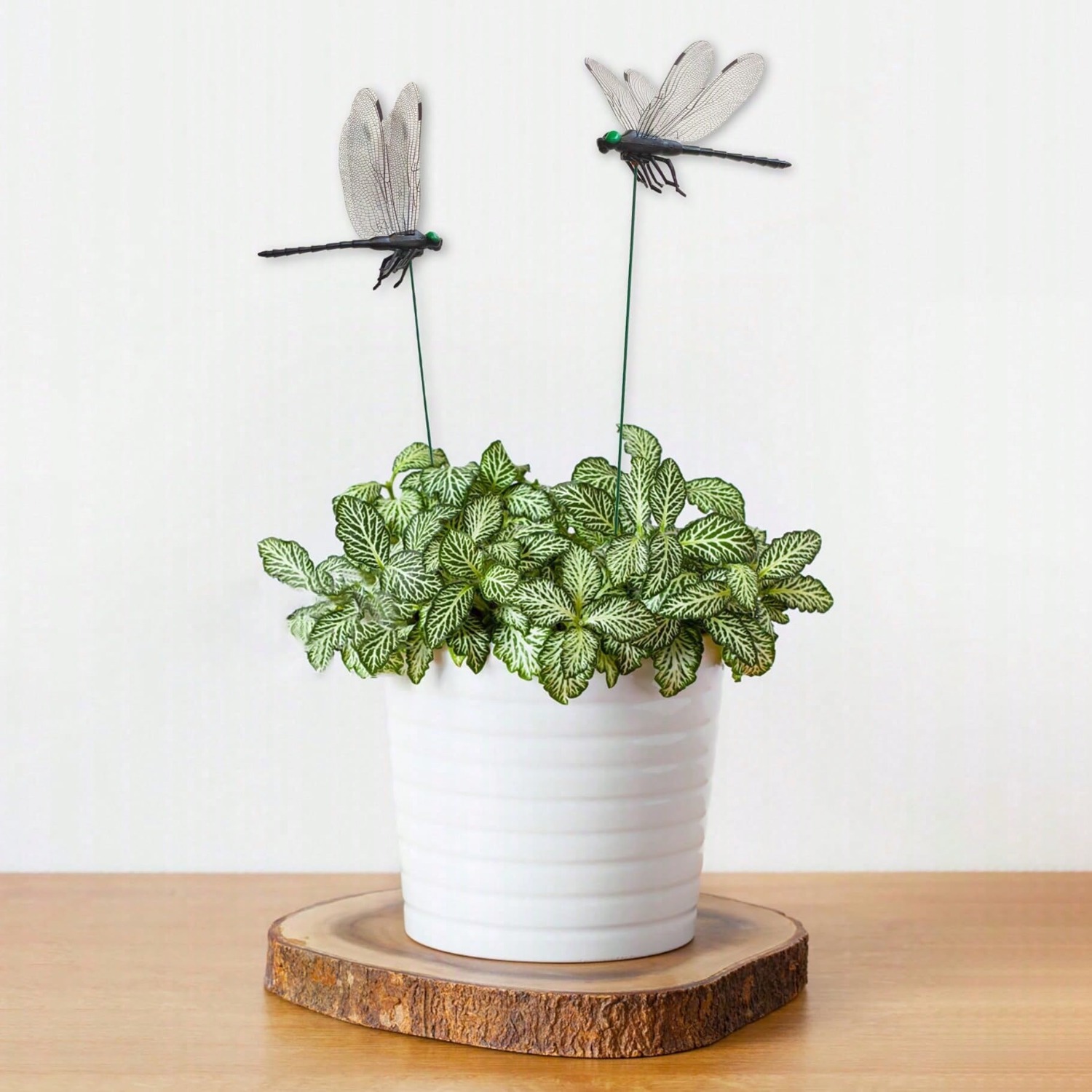 10 stuks decoratieve libellen, - Bonsai Garden Decor recensie en prijs