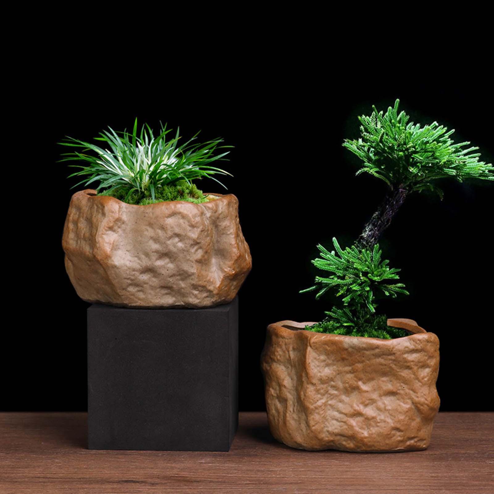 Keramische succulentenpot, lic - Training Pot Ceramic recensie en prijs
