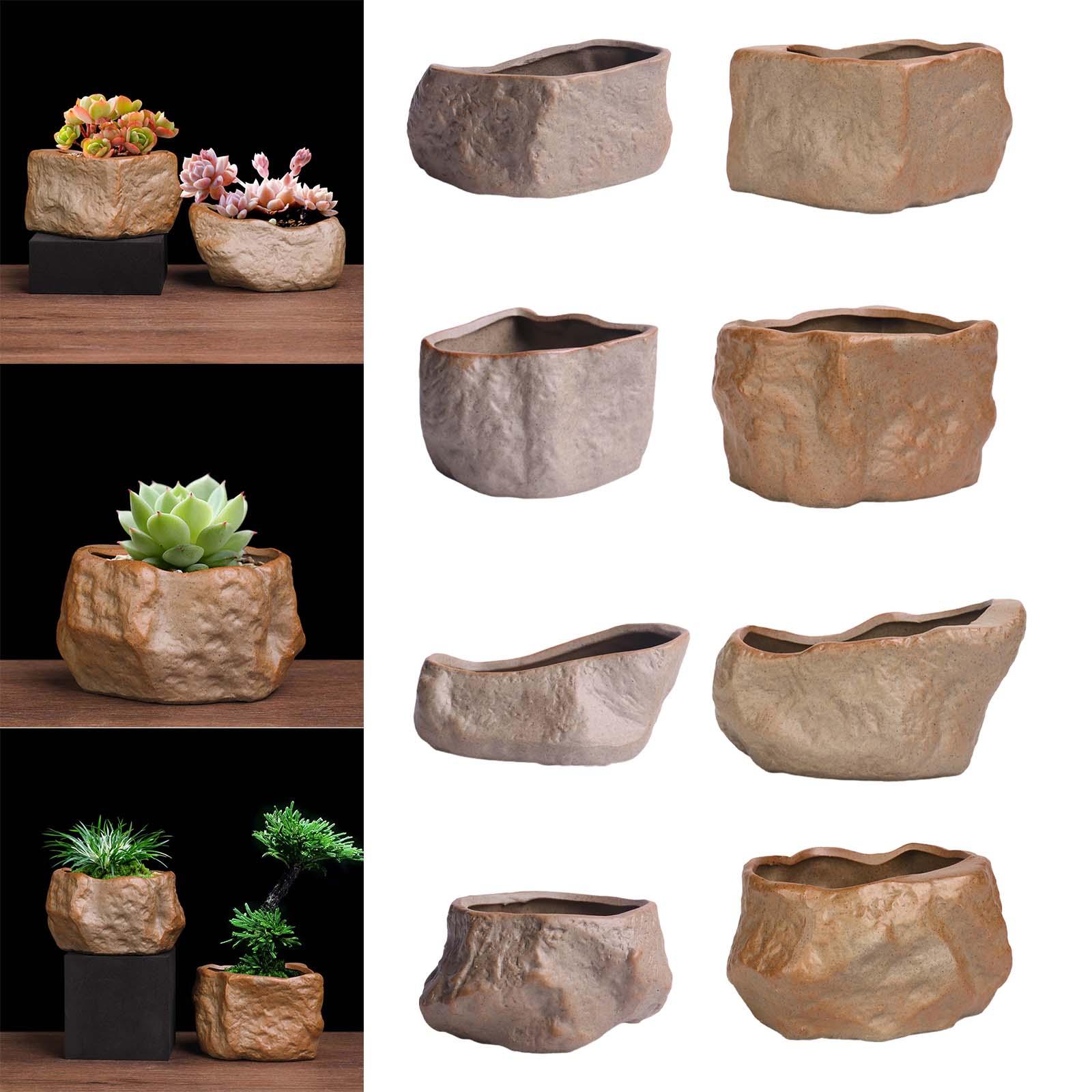 Keramische succulentenpot, lic - Training Pot Ceramic recensie en prijs