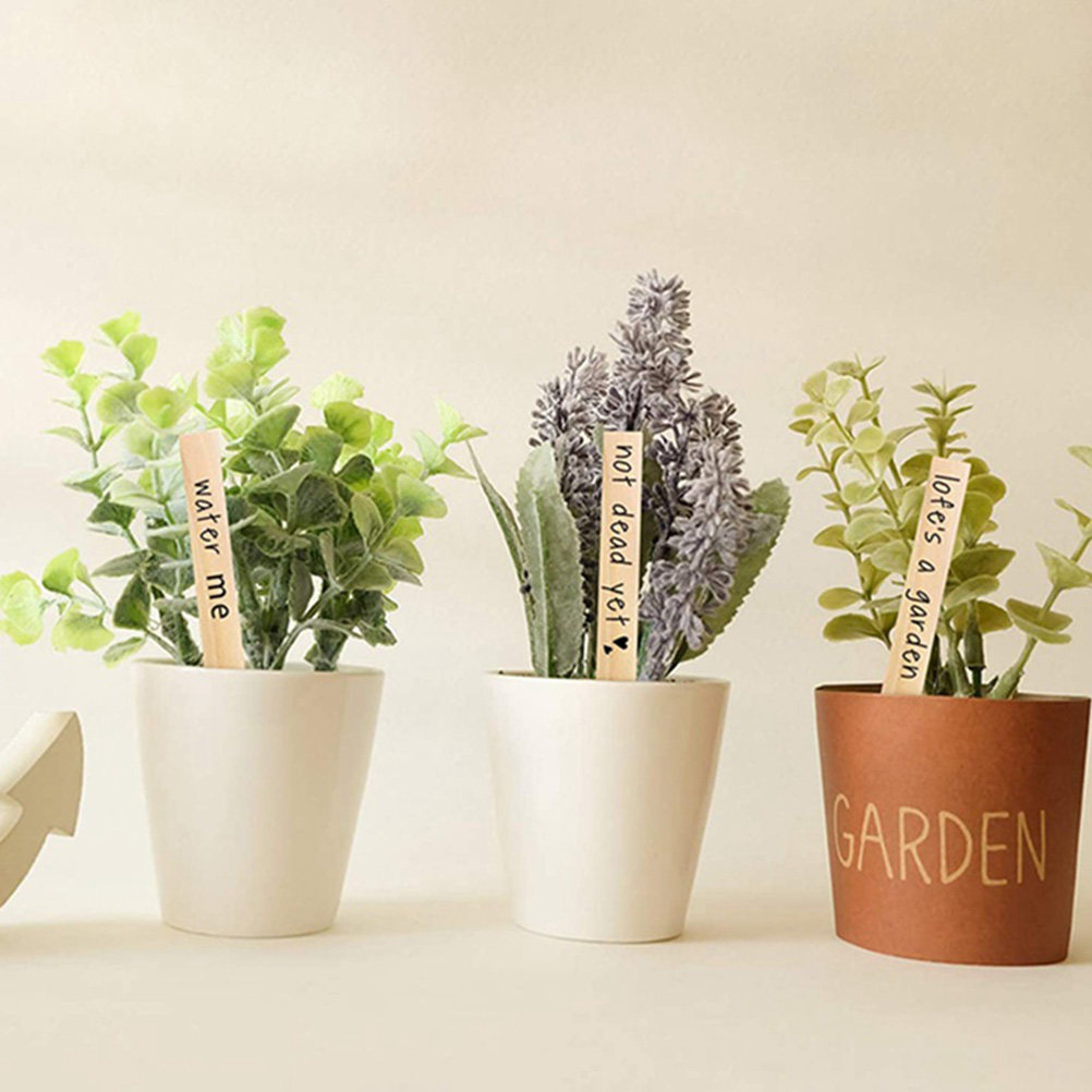 50 stuks plantenlabels, houten - Bonsai Garden Nursery recensie en prijs