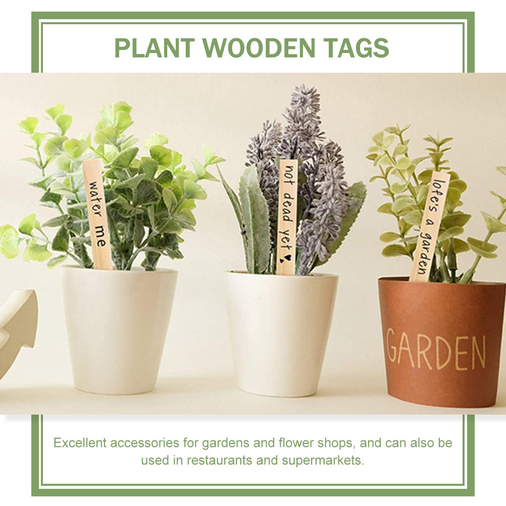50 stuks plantenlabels, houten - Bonsai Garden Nursery recensie en prijs