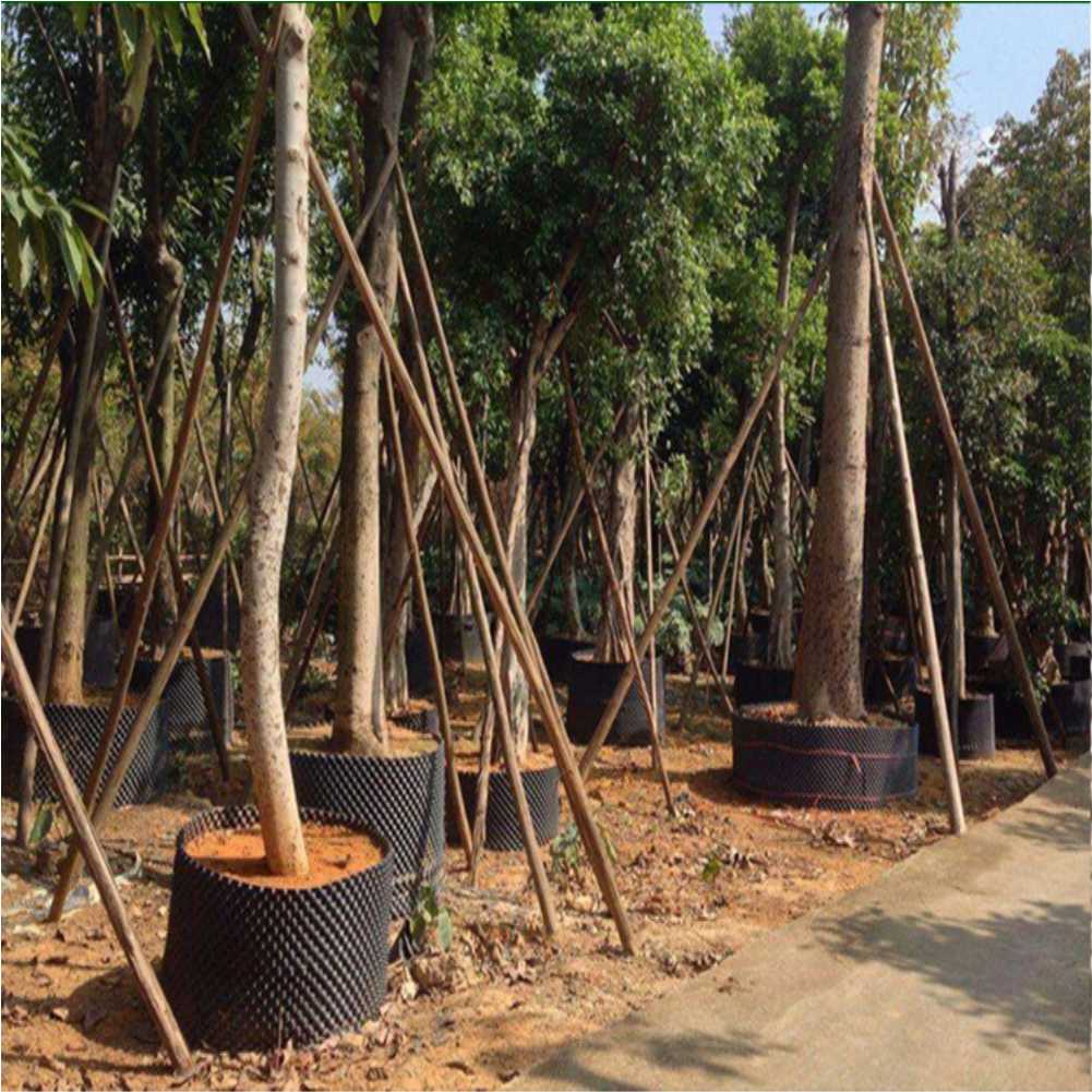 Kweekcontainer Tuin Boom Bonsa - Bonsai Garden Nursery recensie en prijs