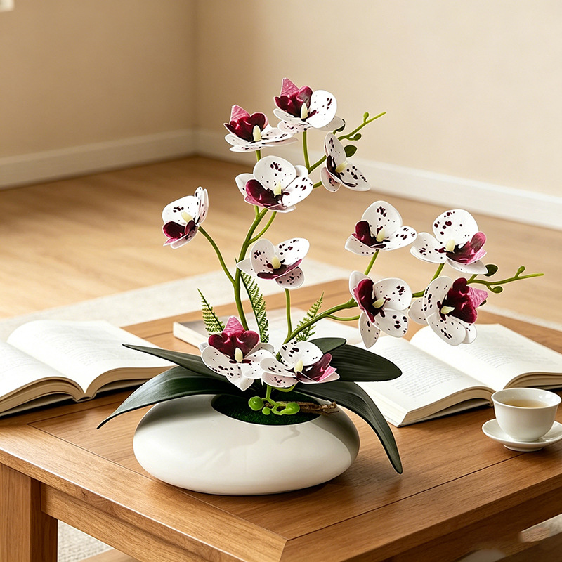 Vlinderorchidee 12 Bloemen Bon - Bonsai Garden Decor recensie en prijs