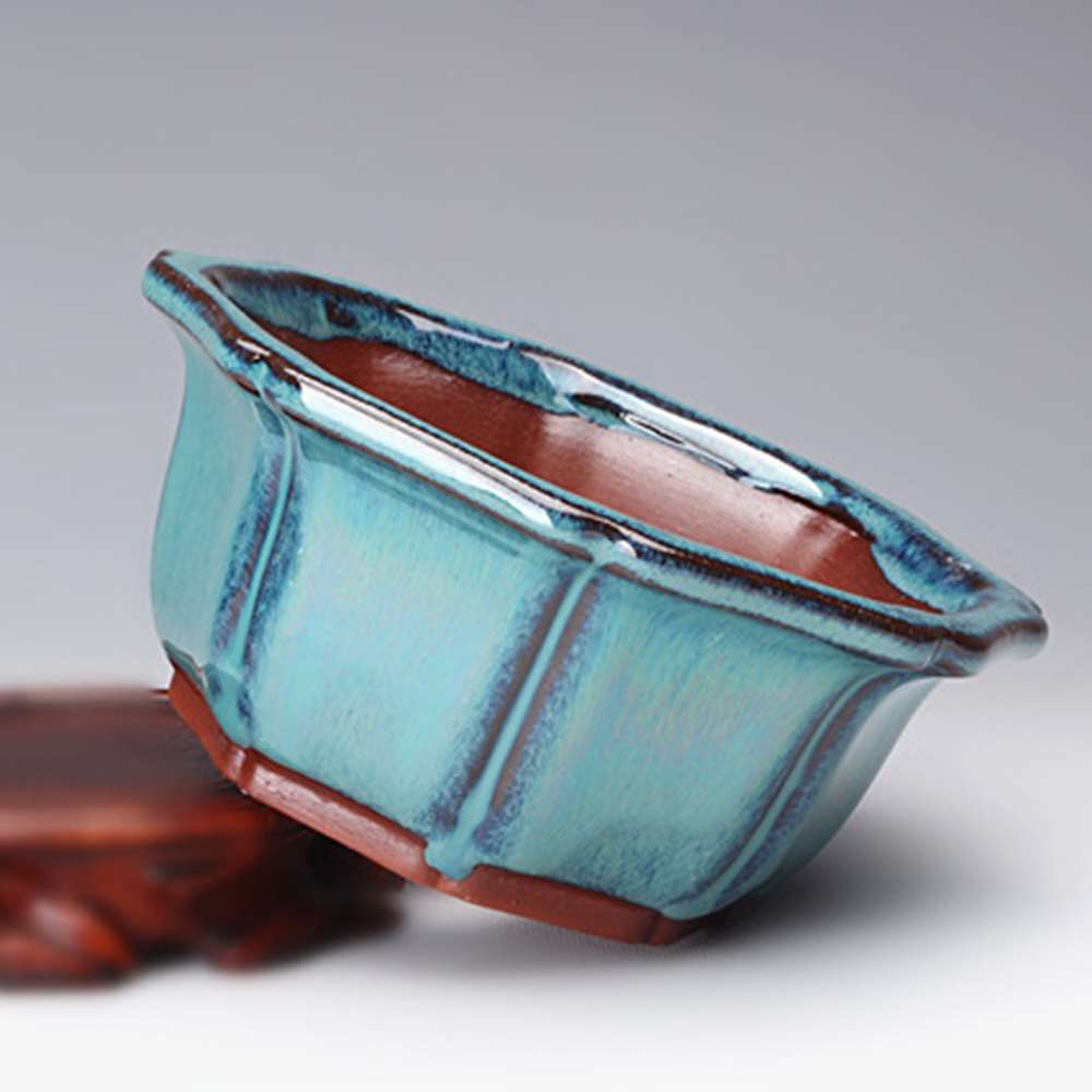 Bonsai potten in Chinese stijl - Training Pot Ceramic recensie en prijs