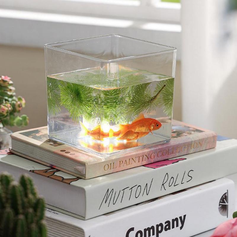 Vierkante/ronde transparante a - Bonsai Garden Nursery recensie en prijs