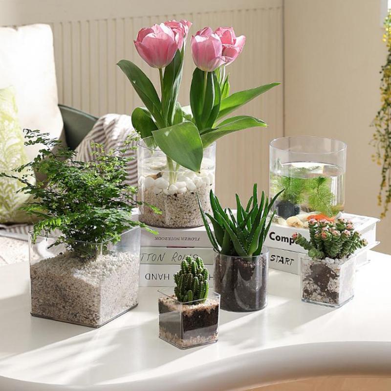 Vierkante/ronde transparante a - Bonsai Garden Nursery recensie en prijs