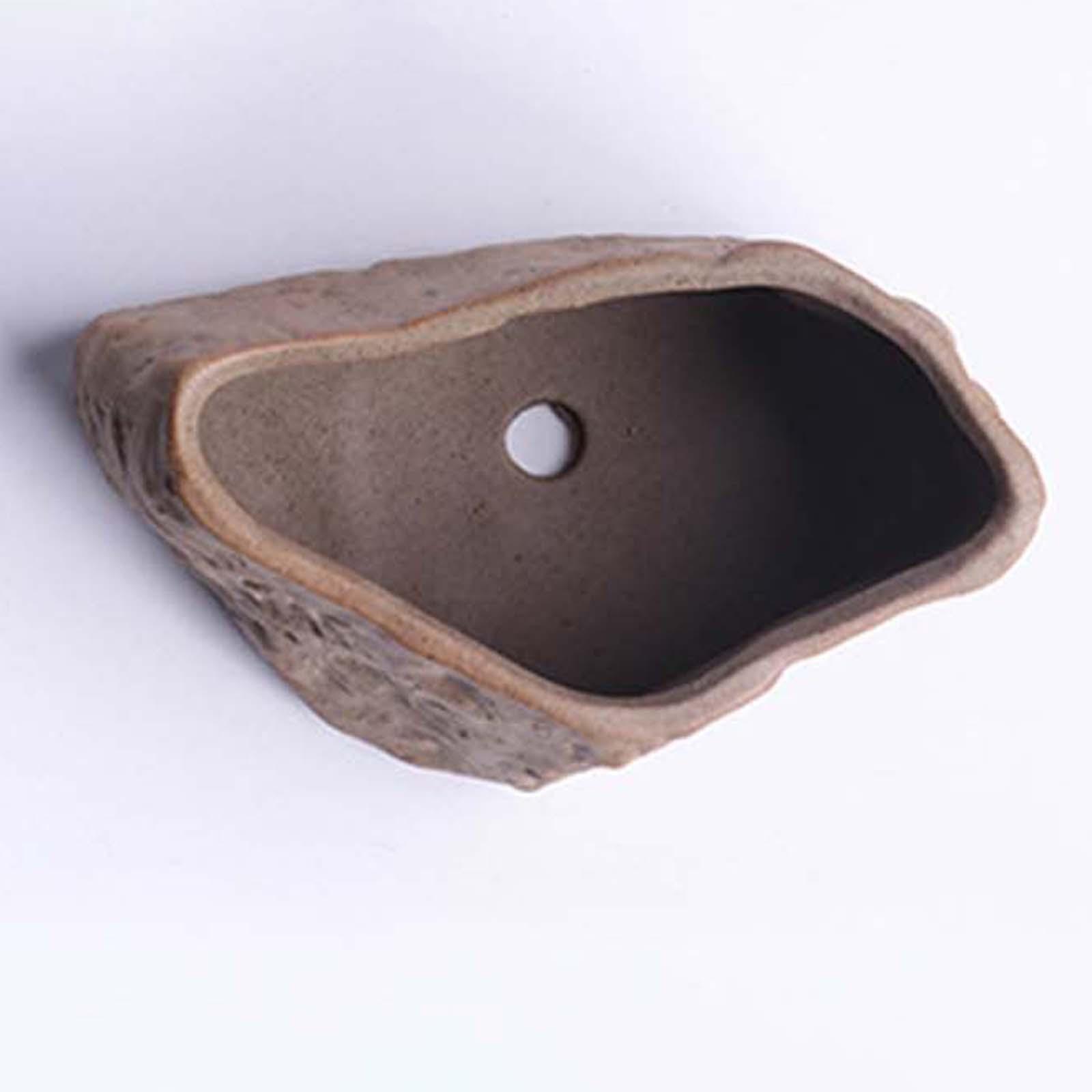 Keramische pot voor vetplanten - Training Pot Ceramic recensie en prijs