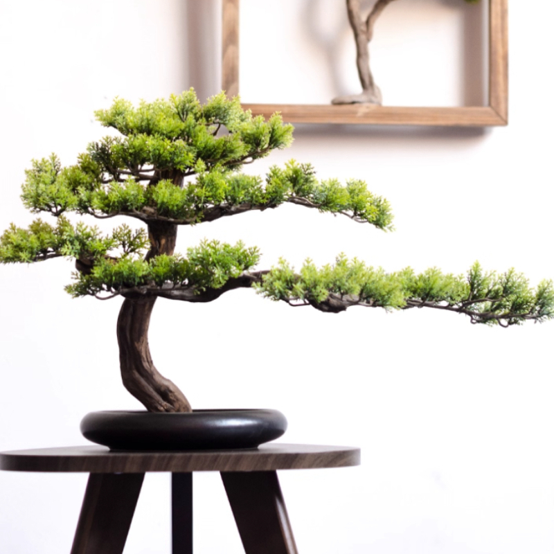 Thuis gastvrije grenen ornamen - Bonsai Garden Entrance recensie en prijs