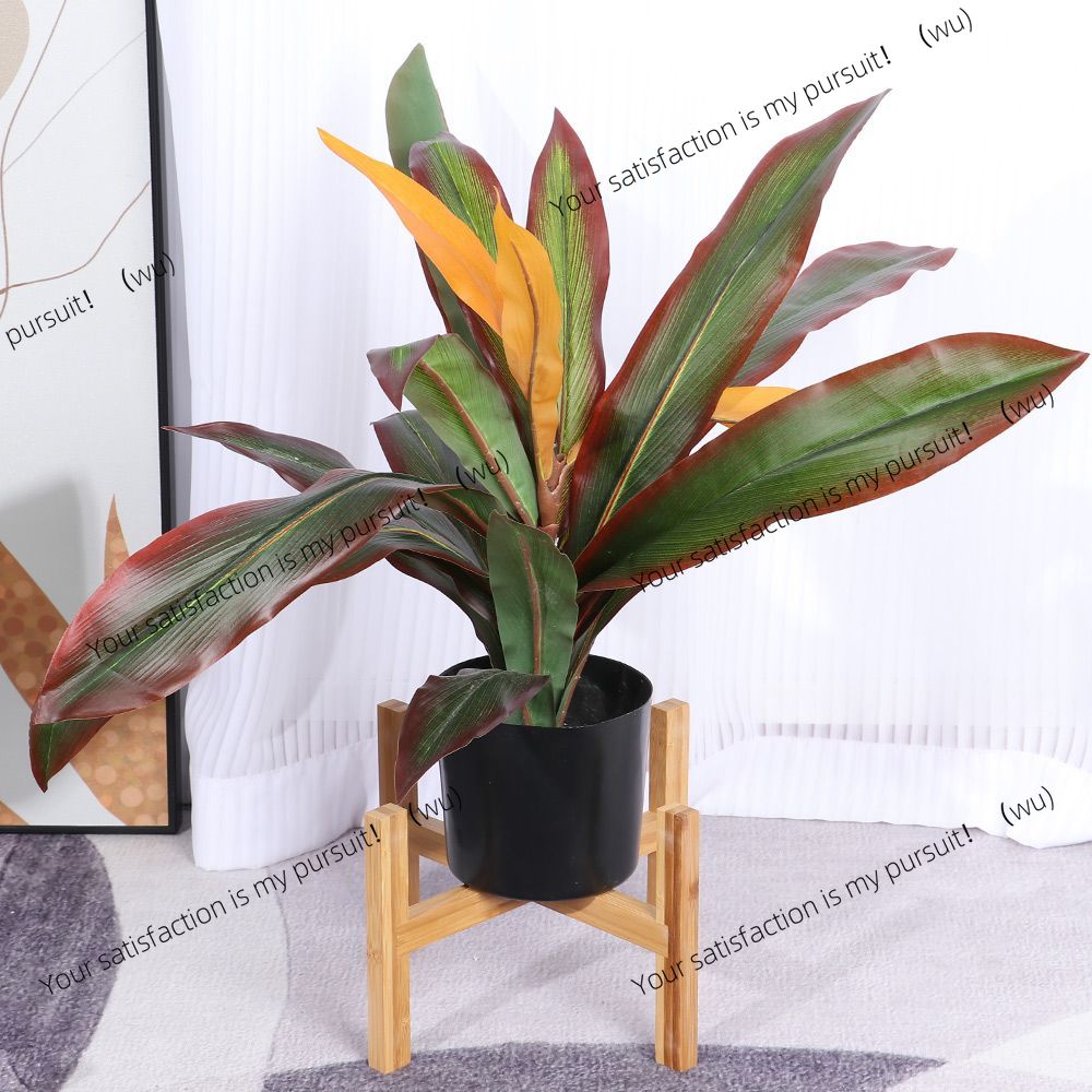 Houten verticale bonsai-displa - Bonsai Vertical Garden recensie en prijs