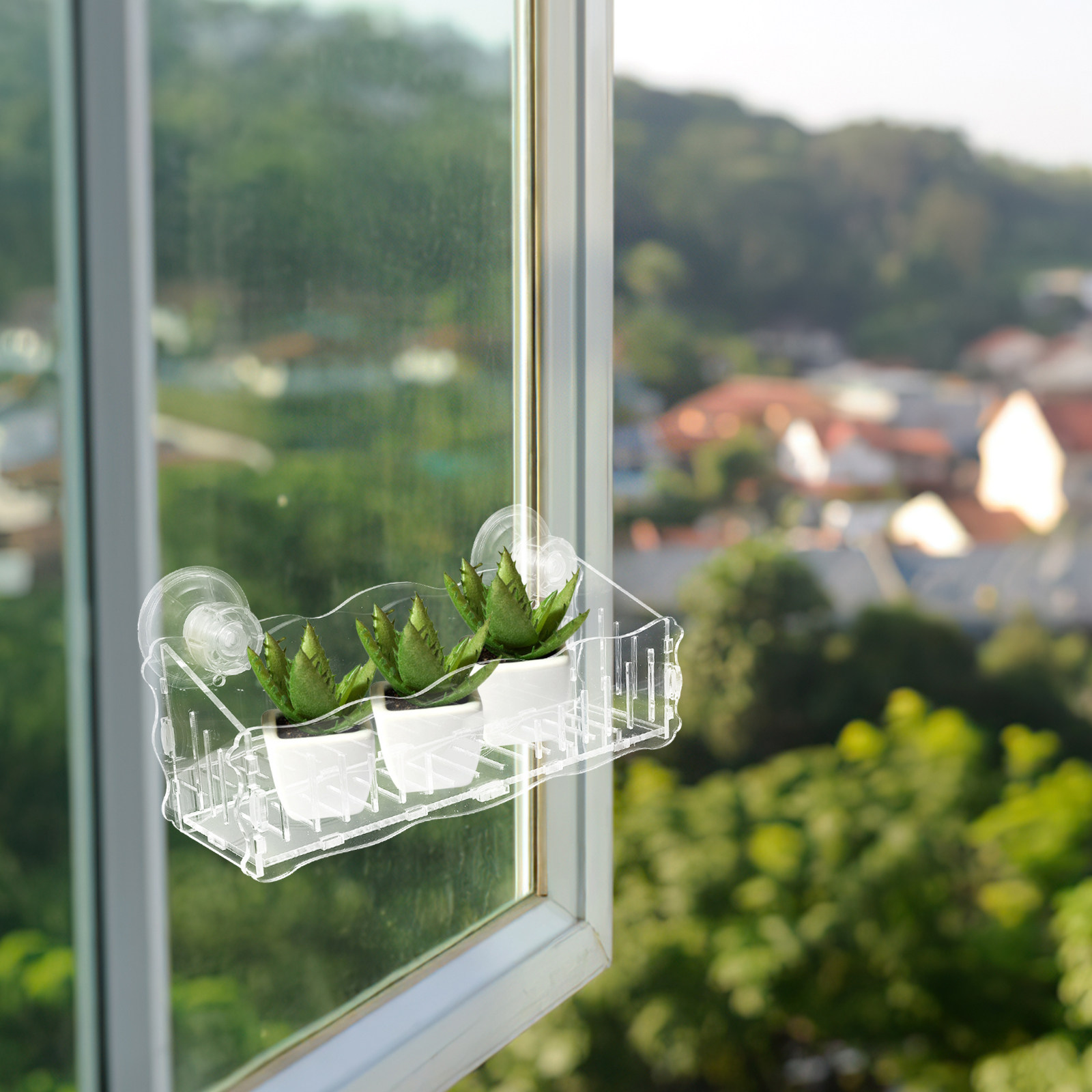 Zuignap plantenhouder van acry - Bonsai Vertical Garden recensie en prijs