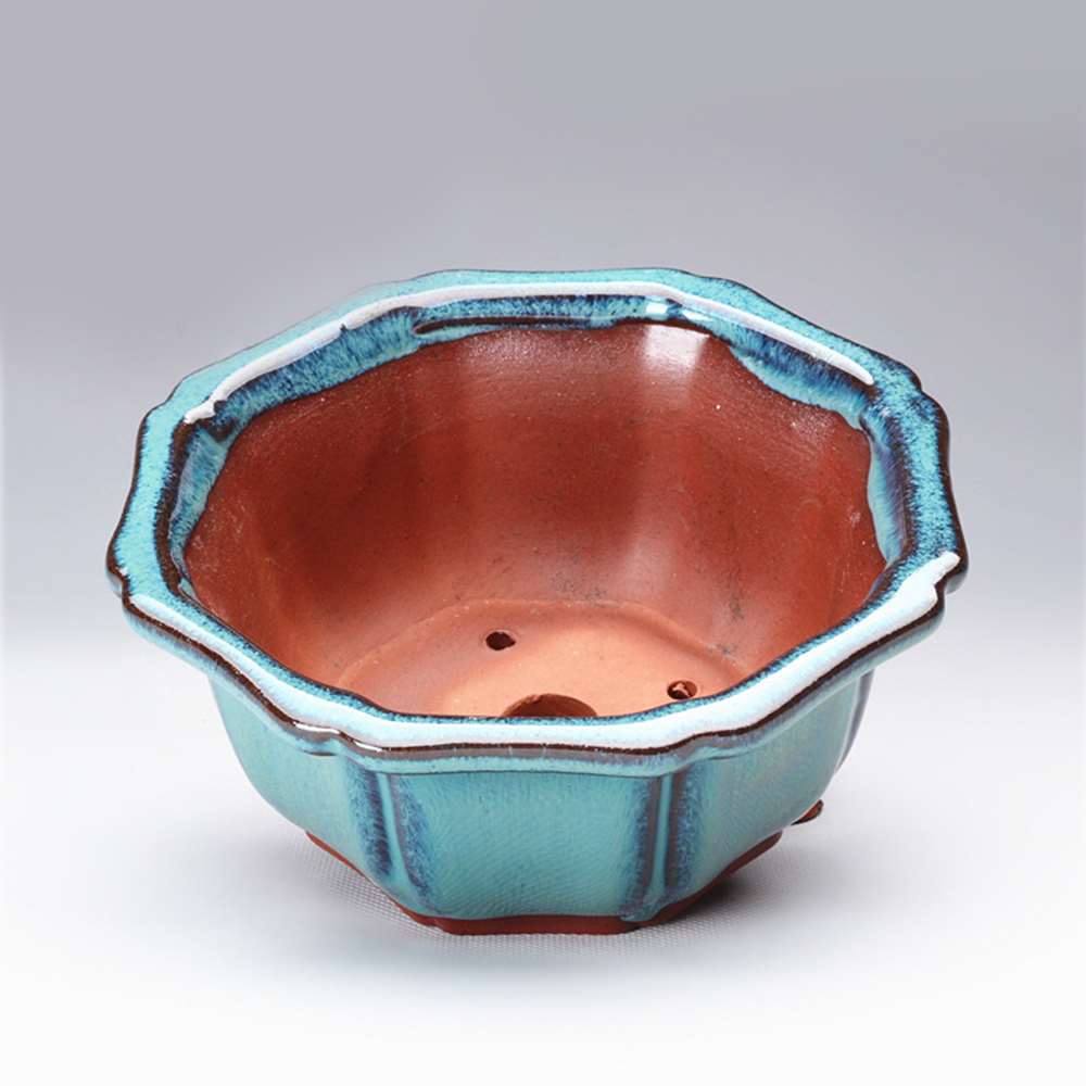 Bonsai potten in Chinese stijl - Training Pot Ceramic recensie en prijs
