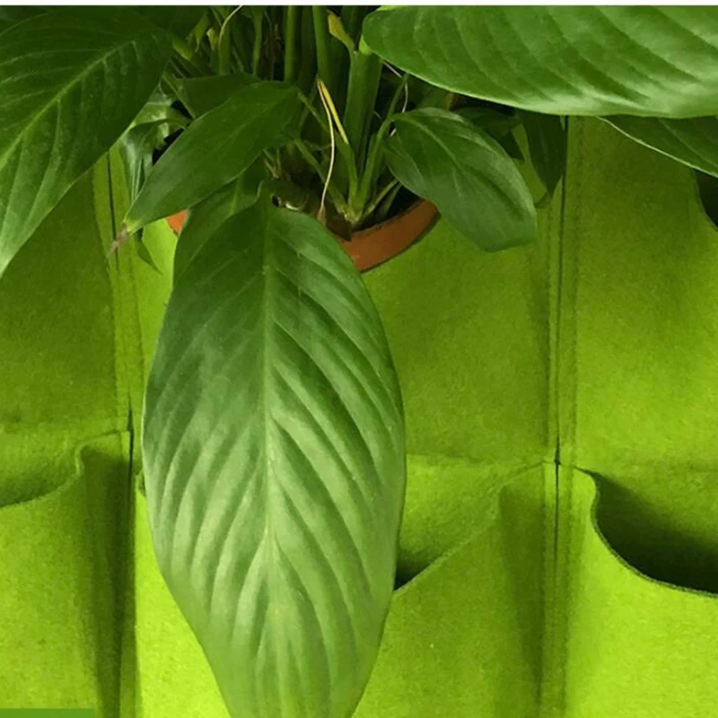 Muurhangende plantentas Meerde - Bonsai Vertical Garden recensie en prijs